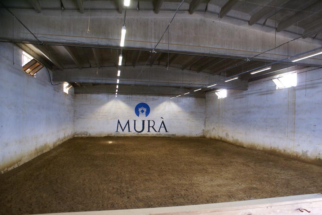 알타무라 Agriturismo Mura 빌라 외부 사진