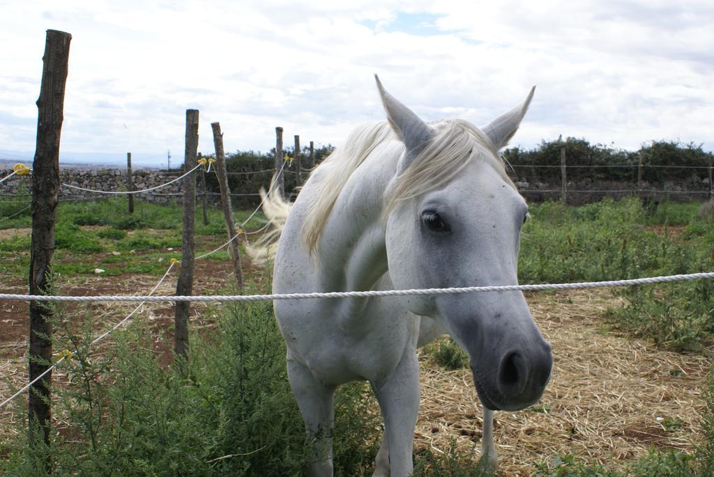 알타무라 Agriturismo Mura 빌라 외부 사진