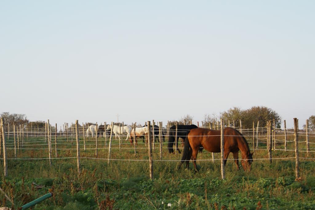 알타무라 Agriturismo Mura 빌라 외부 사진